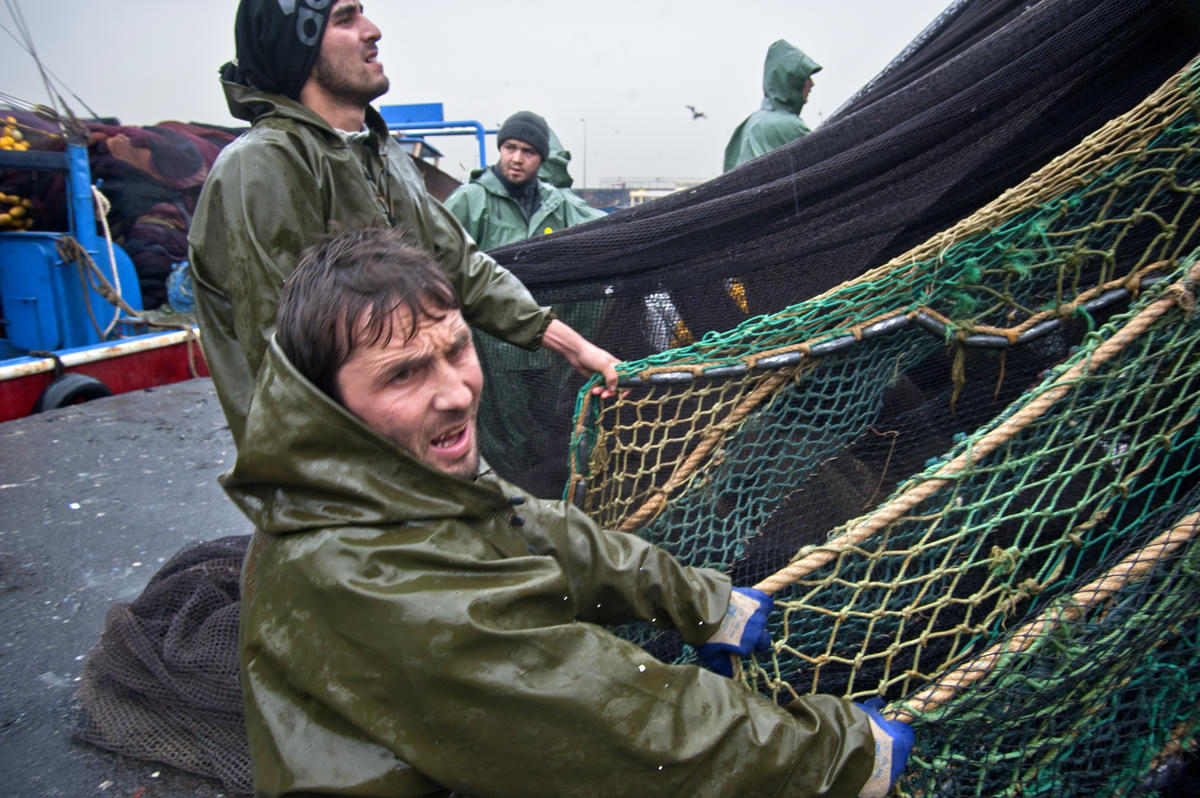 ‘Böyle giderse yoğun bakımdaki balıkçılığımız ölecek’